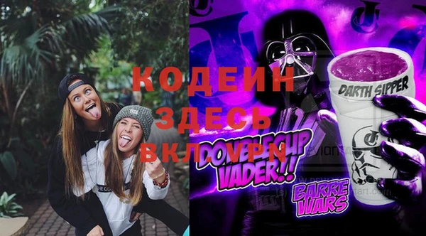 метадон Алексин