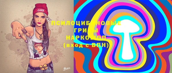 метадон Алексин