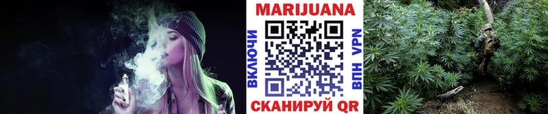 Канабис план  купить закладку  Кировск 